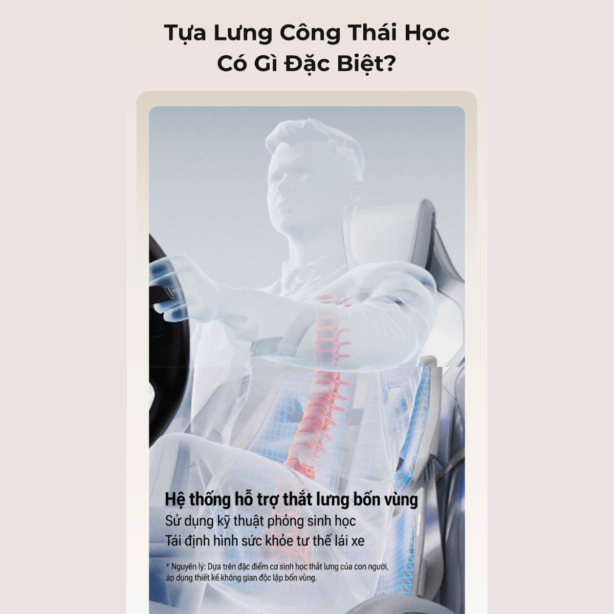 ghế tựa lưng công thái học ảnh 4