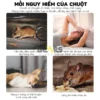 Hộp Xua Đuổi Chuột ÔTô Naducar Cao Cấp Mùi Hương Bạc Hà Dễ Chịu, An Toàn.Gel gắn khoang máy ô tô,sử dụng cho tủ bếp,...